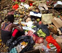 Unsung Heroes: Trash Collectors